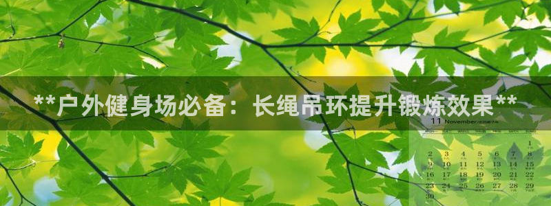 尊龙d88现金 旧版本可靠送38元:**户外健身场必备:长绳