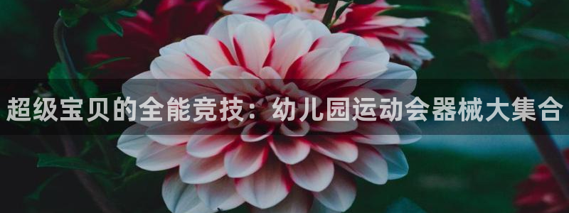 尊龙客服:超级宝贝的全能竞技:幼儿园运动会器械大集合